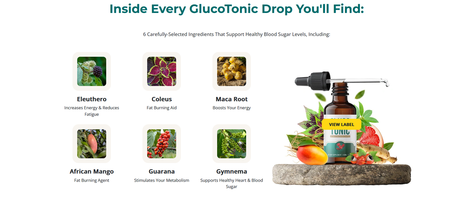 Glucotoni-Ingredients